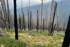 Missoula Hiking