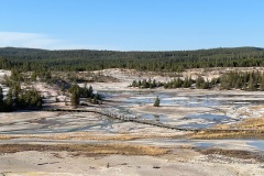 Norris Geyser