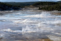 Norris Geyser